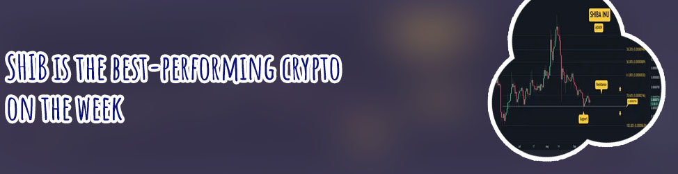 Shib cryptocurrency